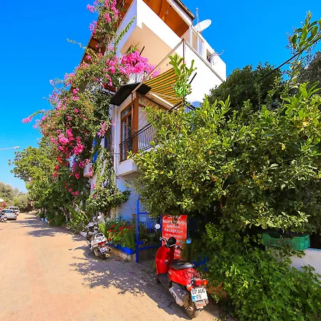 Ates Auberge de jeunesse Kaş