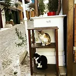 호스텔 아테스